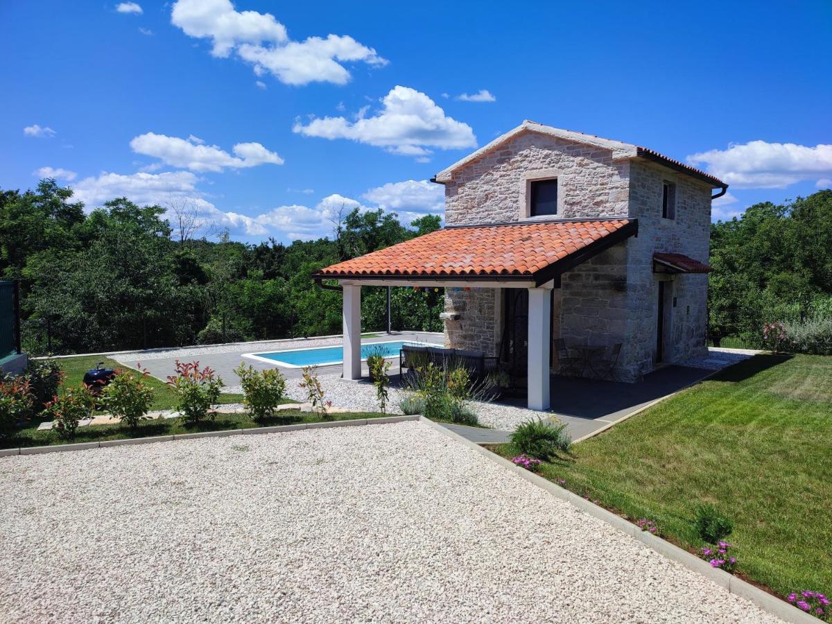 Villa Lita Пазин Екстер'єр фото